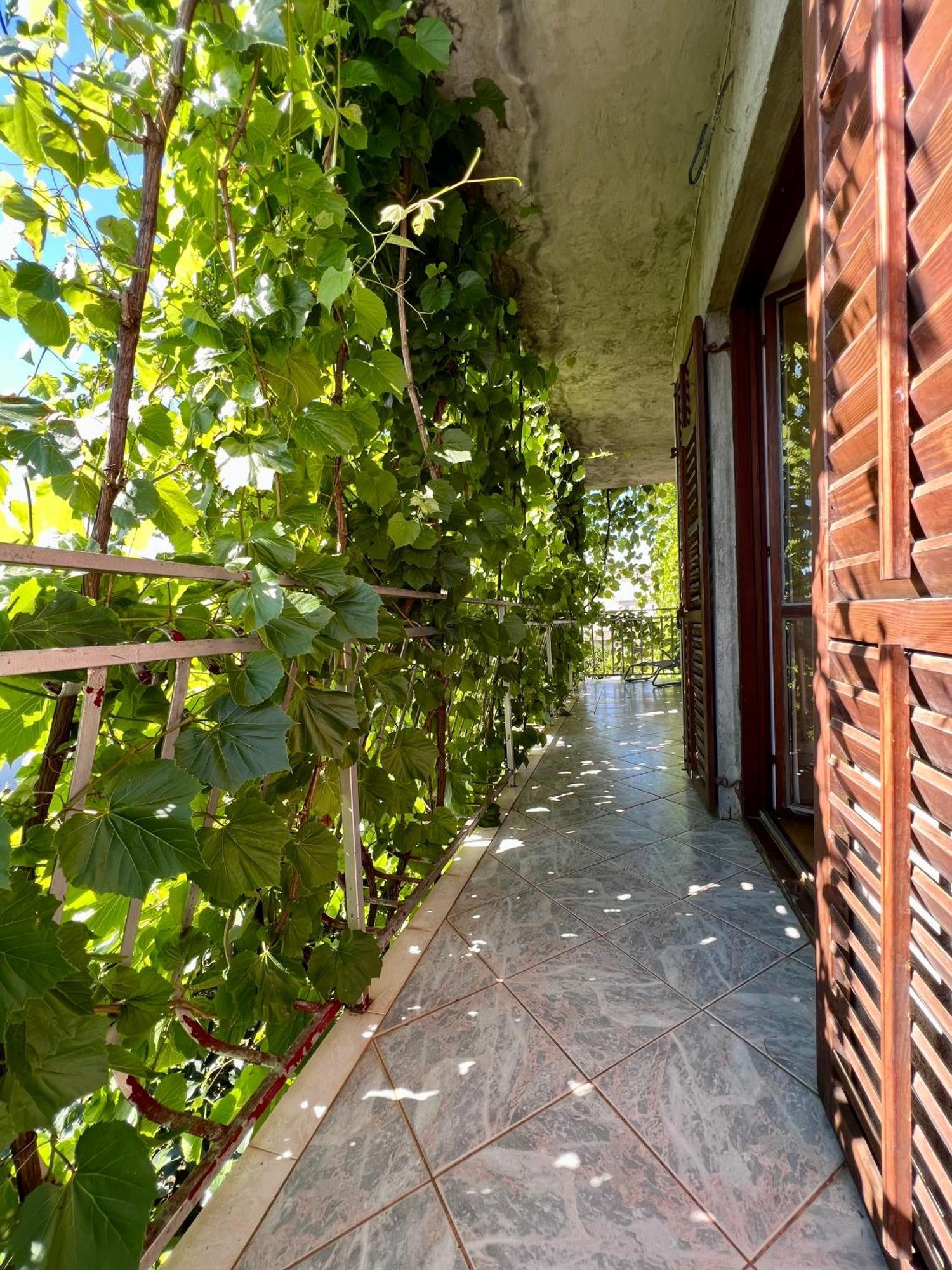 Vodice Center Apartments Bilik gambar